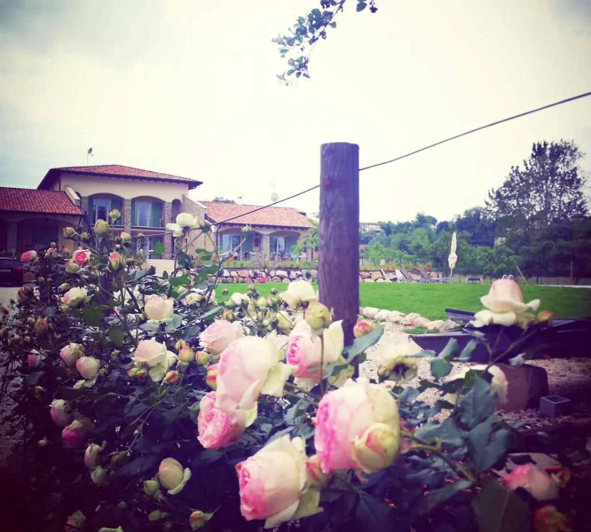 Orchidea Del Garda Rooms & Apartments Peschiera del Garda
